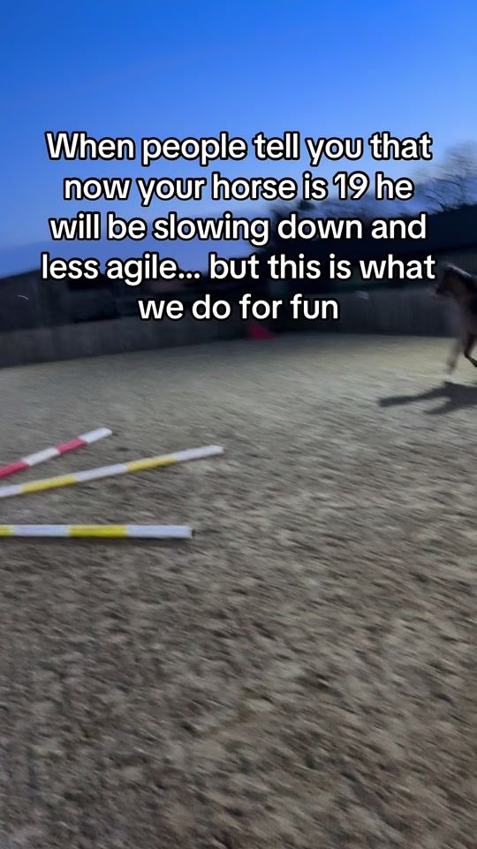 TikTok video thumbnail by treacle.the.bay