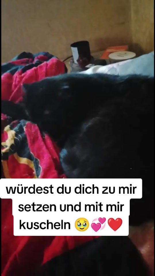TikTok video thumbnail by karizmaa51