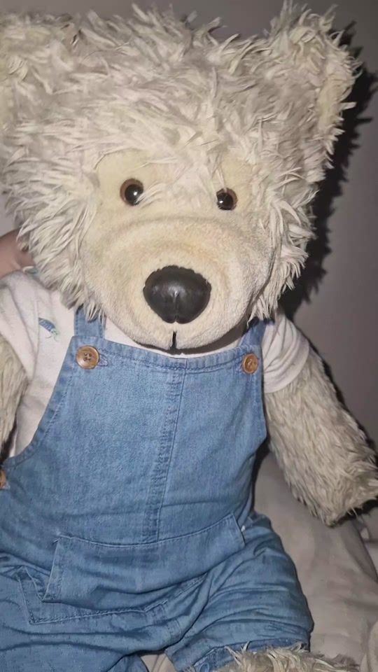 TikTok video thumbnail by percy..the..polar..bear
