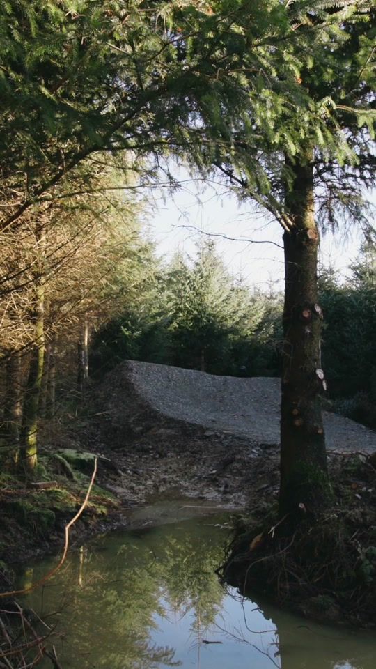 TikTok video thumbnail by alexstorr