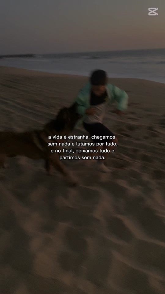 TikTok video thumbnail by vanessaapinto66