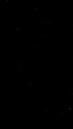 TikTok video thumbnail by hire_sndx