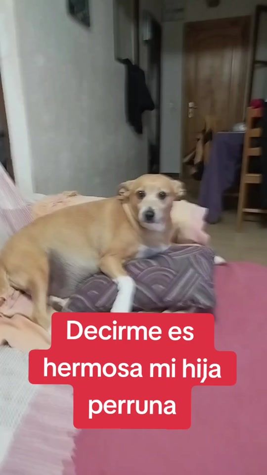 TikTok video thumbnail by 19antonio1976