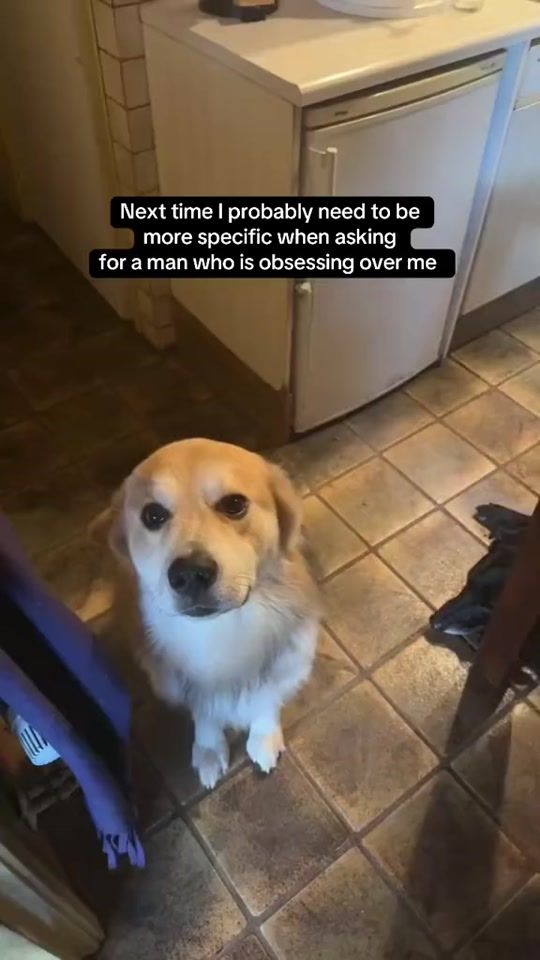 TikTok video thumbnail by oceanvanroozendaal