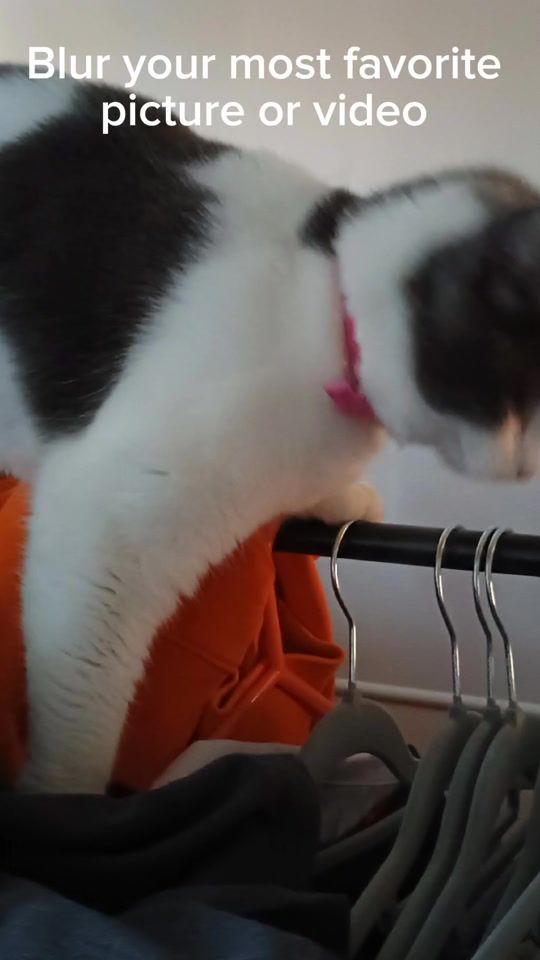 TikTok video thumbnail by v0ru4l0