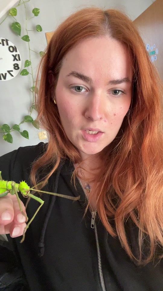 TikTok video thumbnail by skeri21