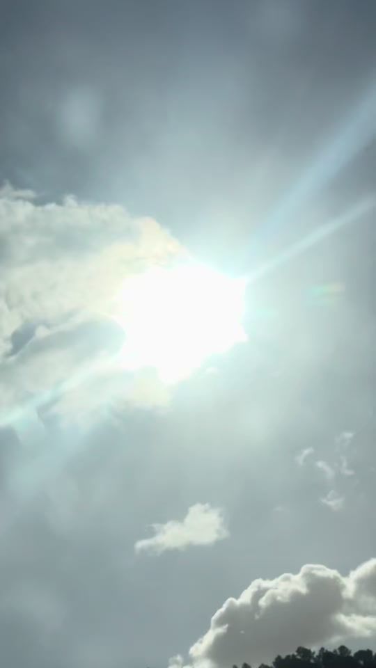 TikTok video thumbnail by rosevita92