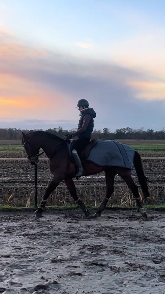 TikTok video thumbnail by cfb_dressage