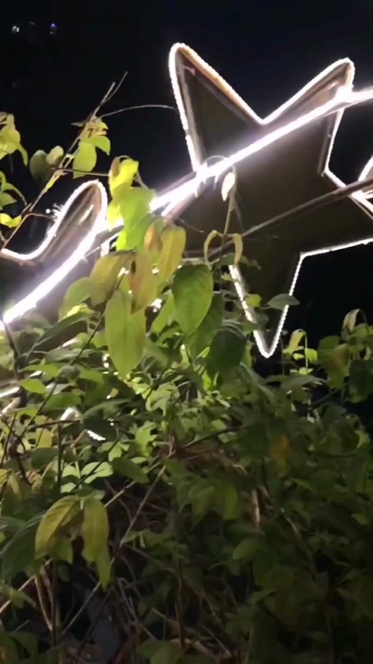 TikTok video thumbnail by msohailboy