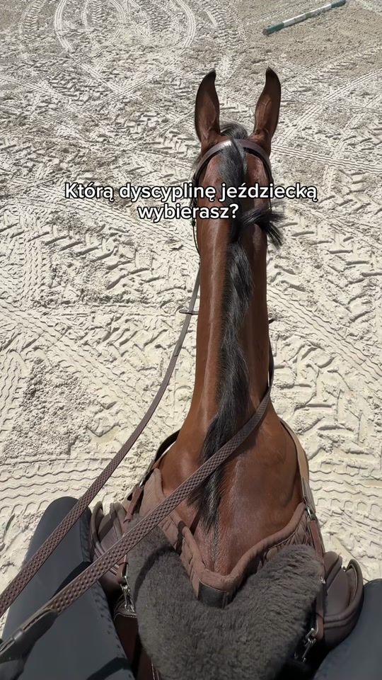 TikTok video thumbnail by jsshowjumper