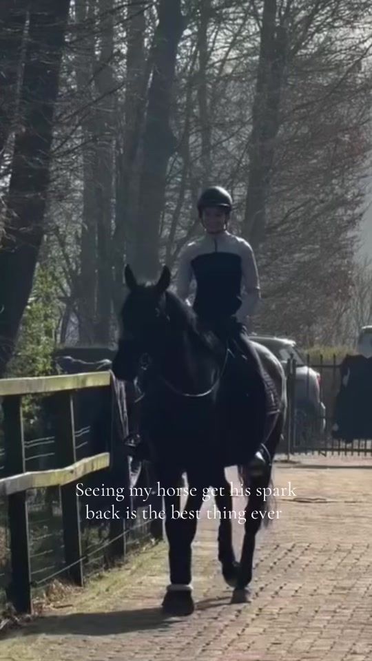 TikTok video thumbnail by equi.maritschenk