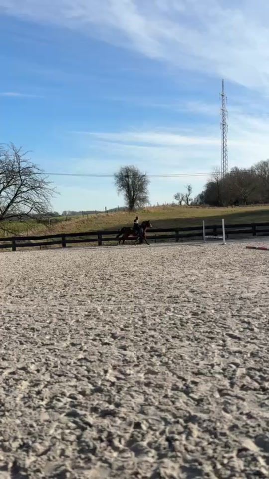TikTok video thumbnail by user.vspt