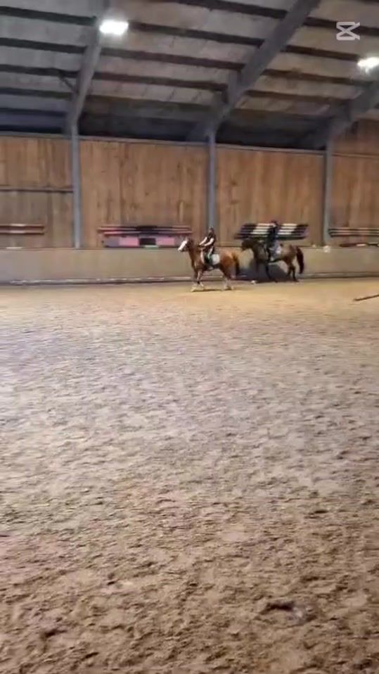 TikTok video thumbnail by equestrian_fien6