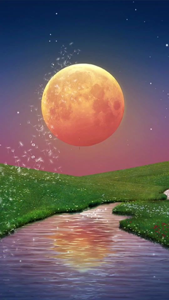 TikTok video thumbnail by mirjamkap25