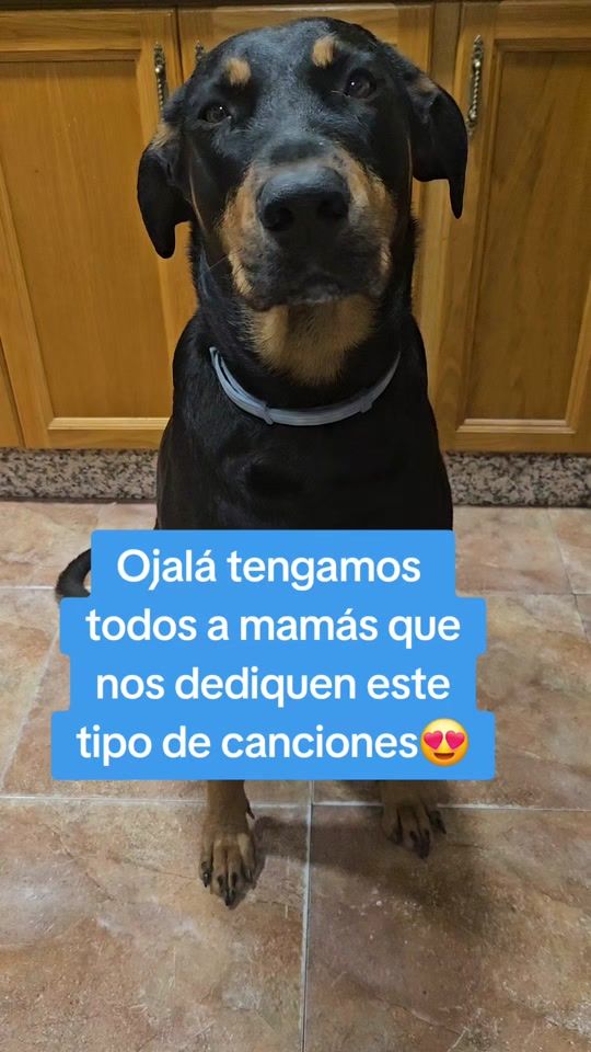 TikTok video thumbnail by kyra_pastor