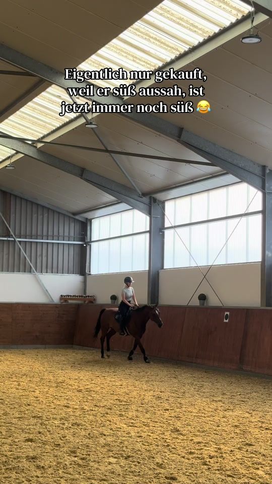 TikTok video thumbnail by ninaa.equestrian