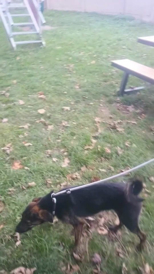 TikTok video thumbnail by florine_wtp
