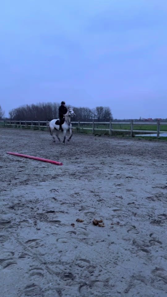 TikTok video thumbnail by lunadeboe