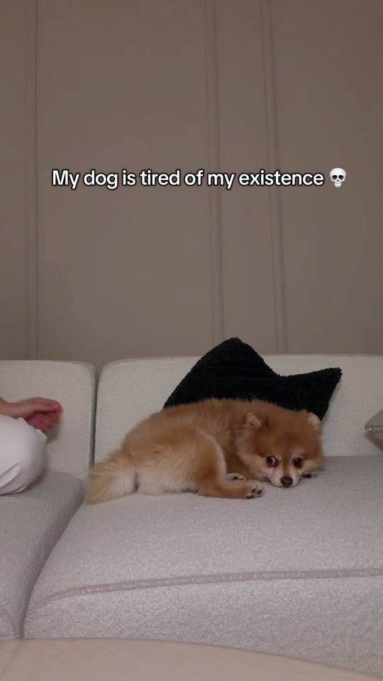 TikTok video thumbnail by romi_allata
