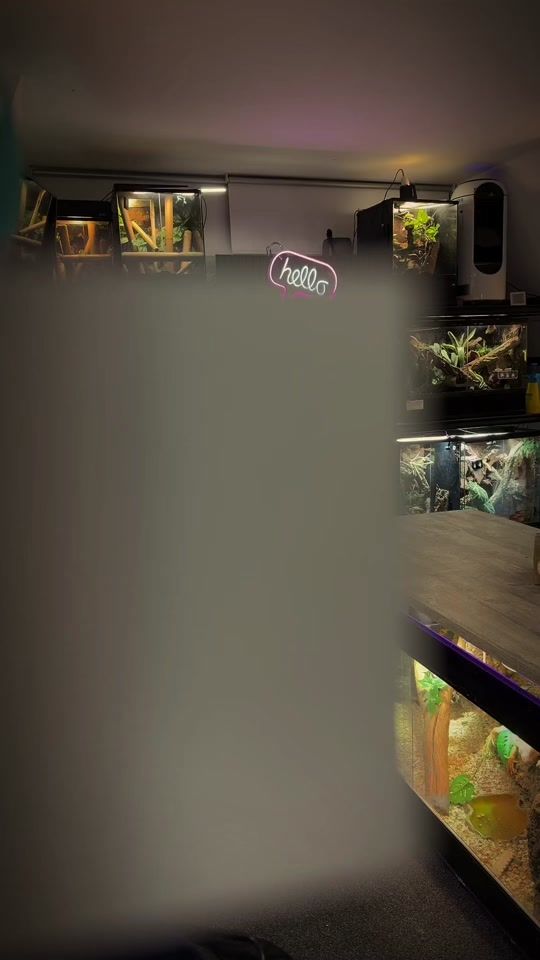 TikTok video thumbnail by exoticworld.eu