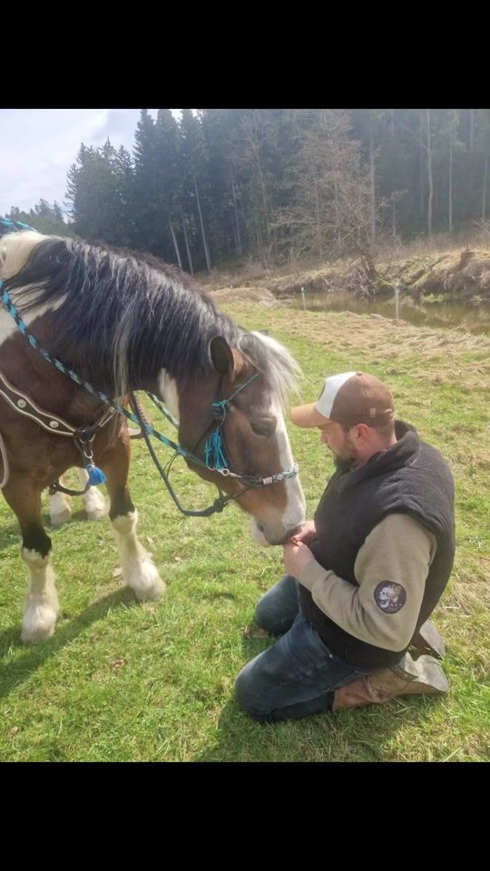 TikTok video thumbnail by sebastianschramm3