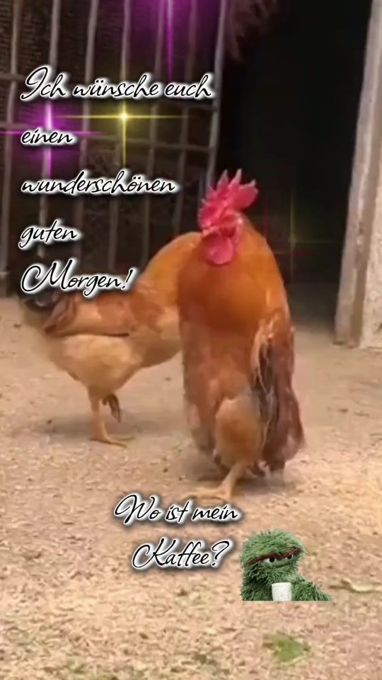 TikTok video thumbnail by piccasso04