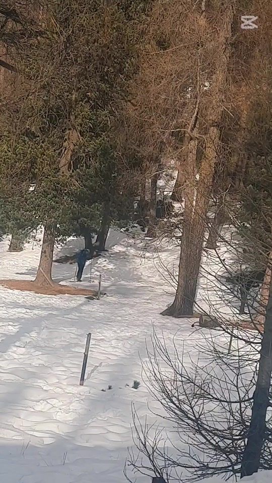 TikTok video thumbnail by almadaescrita