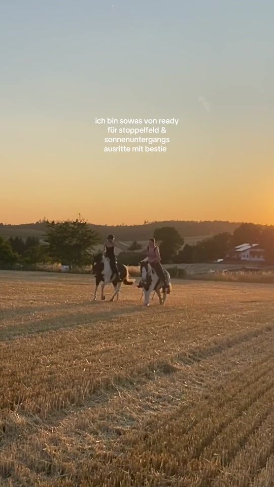 TikTok video thumbnail by scheckenteam.es