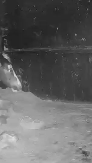 TikTok video thumbnail by cerysh01