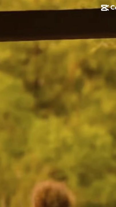 TikTok video thumbnail by jj._.obxp4l