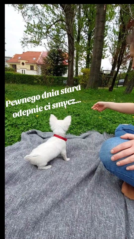 TikTok video thumbnail by helkabruskselka