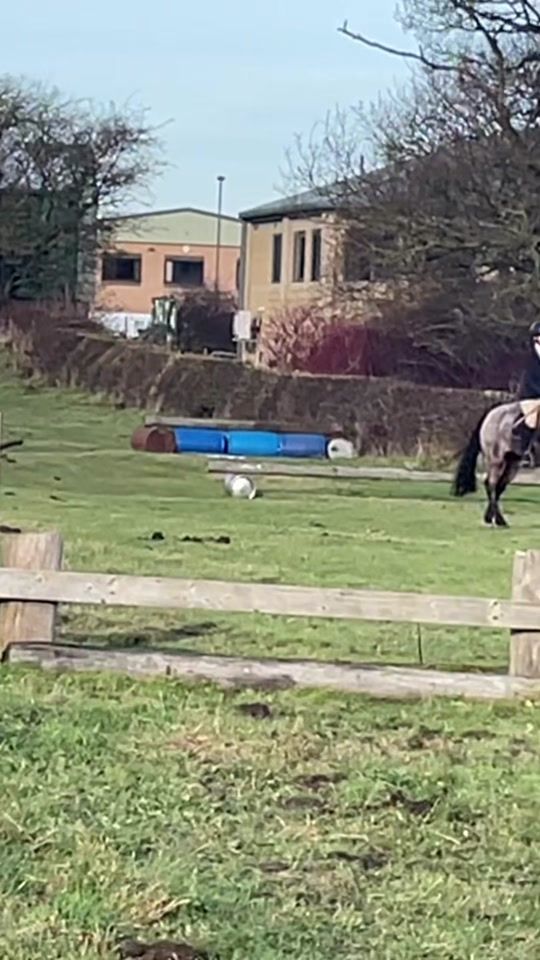 TikTok video thumbnail by rubytetlowshowjumping