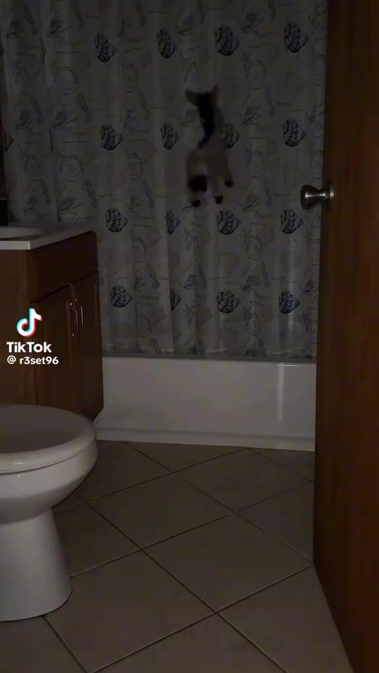TikTok video thumbnail by nonoitaxi