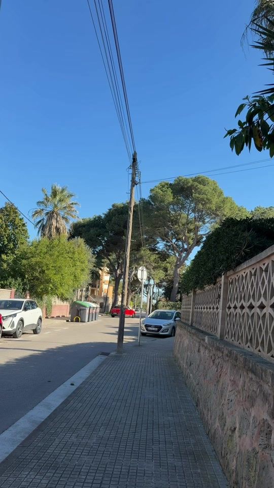 TikTok video thumbnail by jasminkuschnig