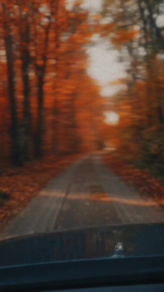 TikTok video thumbnail by nick_sein_ernst