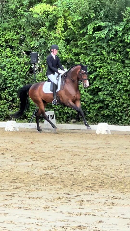 TikTok video thumbnail by nicks_equestrian1