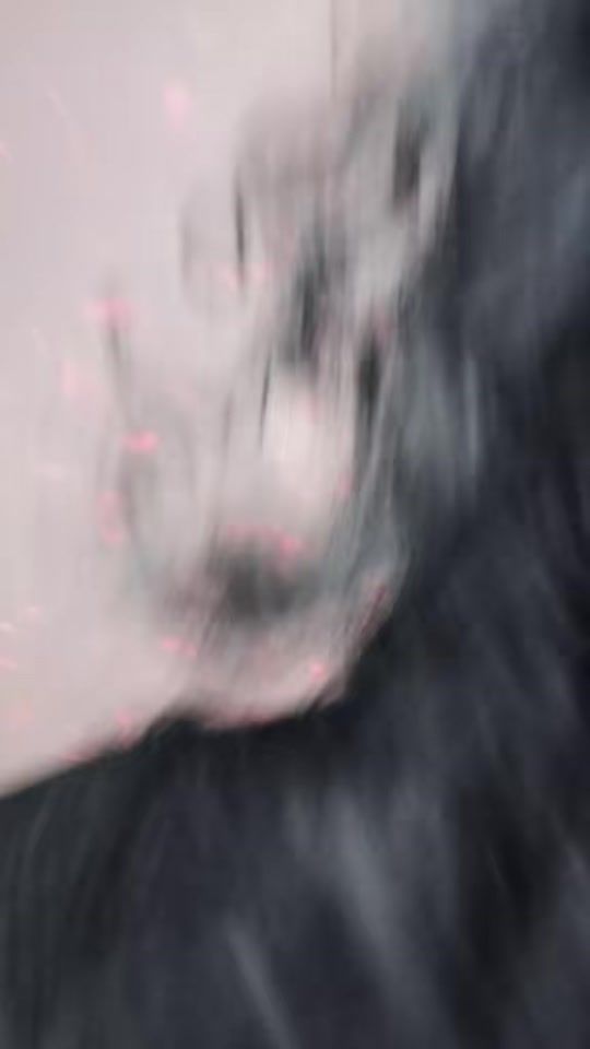 TikTok video thumbnail by leona.fonseca