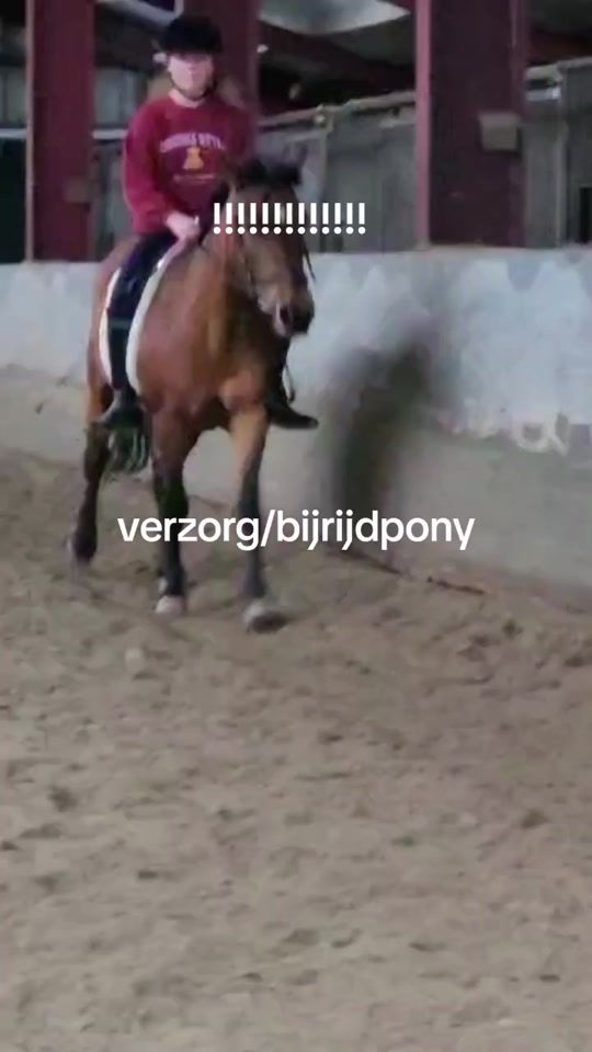 TikTok video thumbnail by horse_riding367