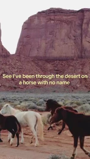 TikTok video thumbnail by newyorksfavourite