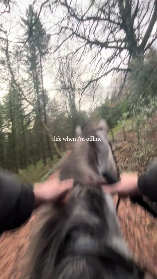TikTok video thumbnail by j17m75l