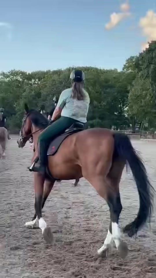 TikTok video thumbnail by equi_c17