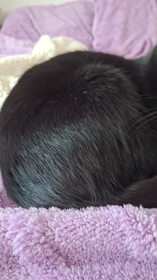 TikTok video thumbnail by sbeatrizcsantos