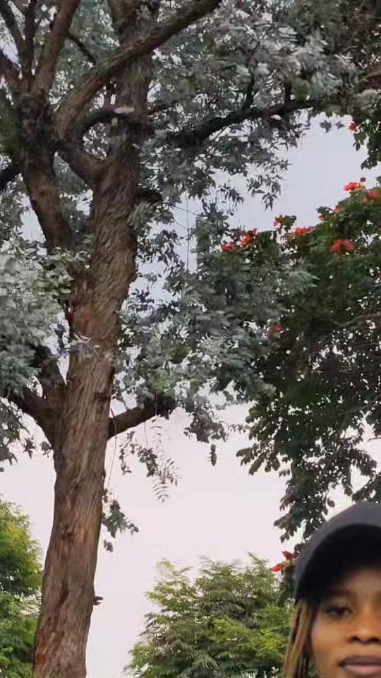 TikTok video thumbnail by alendavonblack