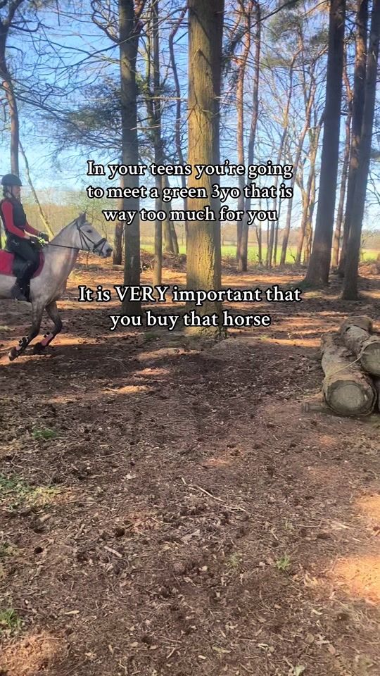 TikTok video thumbnail by rb__horses