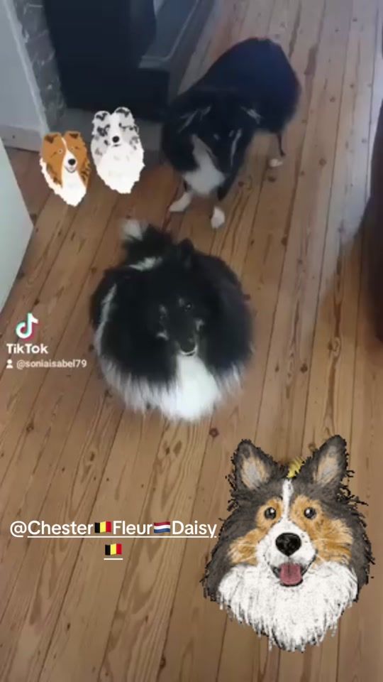 TikTok video thumbnail by soniaisabel79