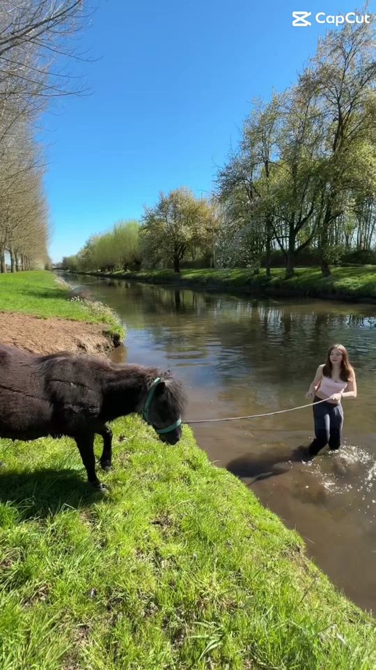 TikTok video thumbnail by equestrian_.jojo