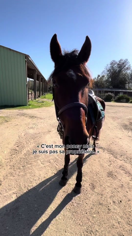 TikTok video thumbnail by juliette_jumpp