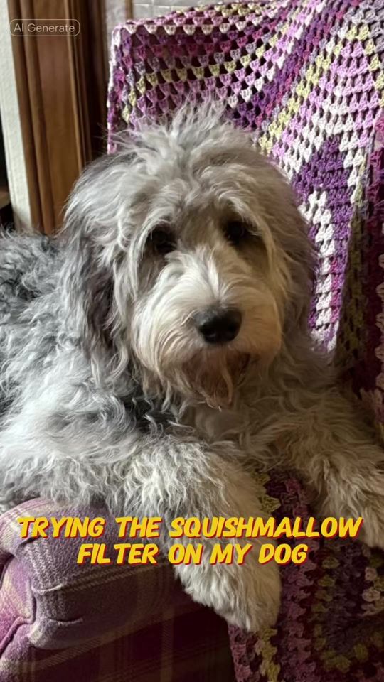 TikTok video thumbnail by edgar_theterrortot