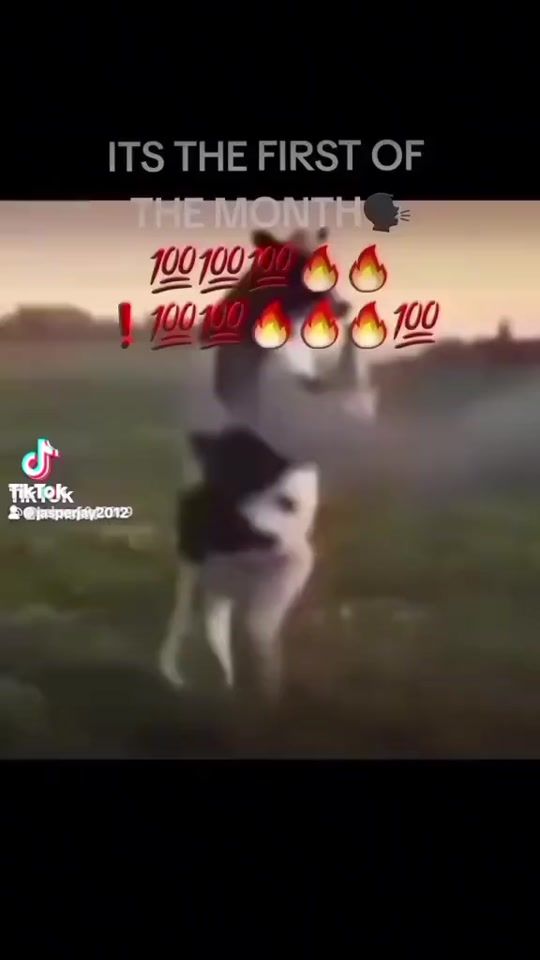 TikTok video thumbnail by jasperjay2012