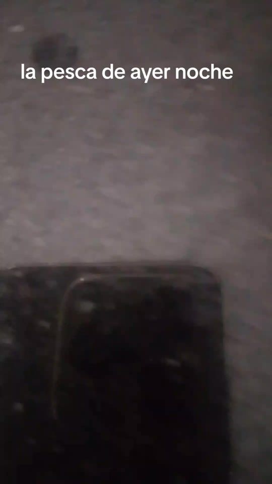 TikTok video thumbnail by toni_sipis